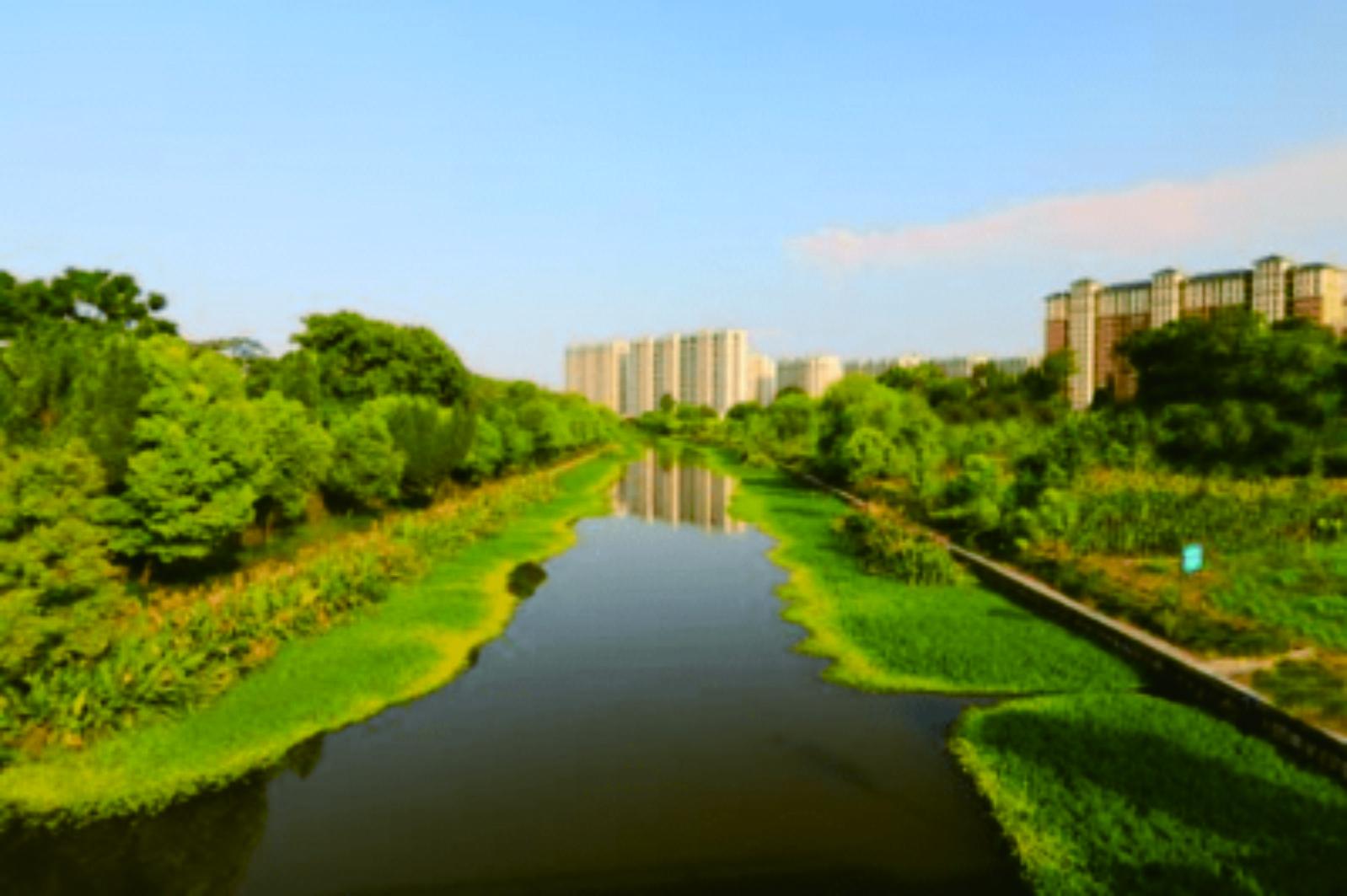 襄城縣循環(huán)經(jīng)濟(jì)產(chǎn)業(yè)集聚區(qū)擴(kuò)容強(qiáng)基遷建、農(nóng)村水系綜合整治工程等項(xiàng)目（EPC）